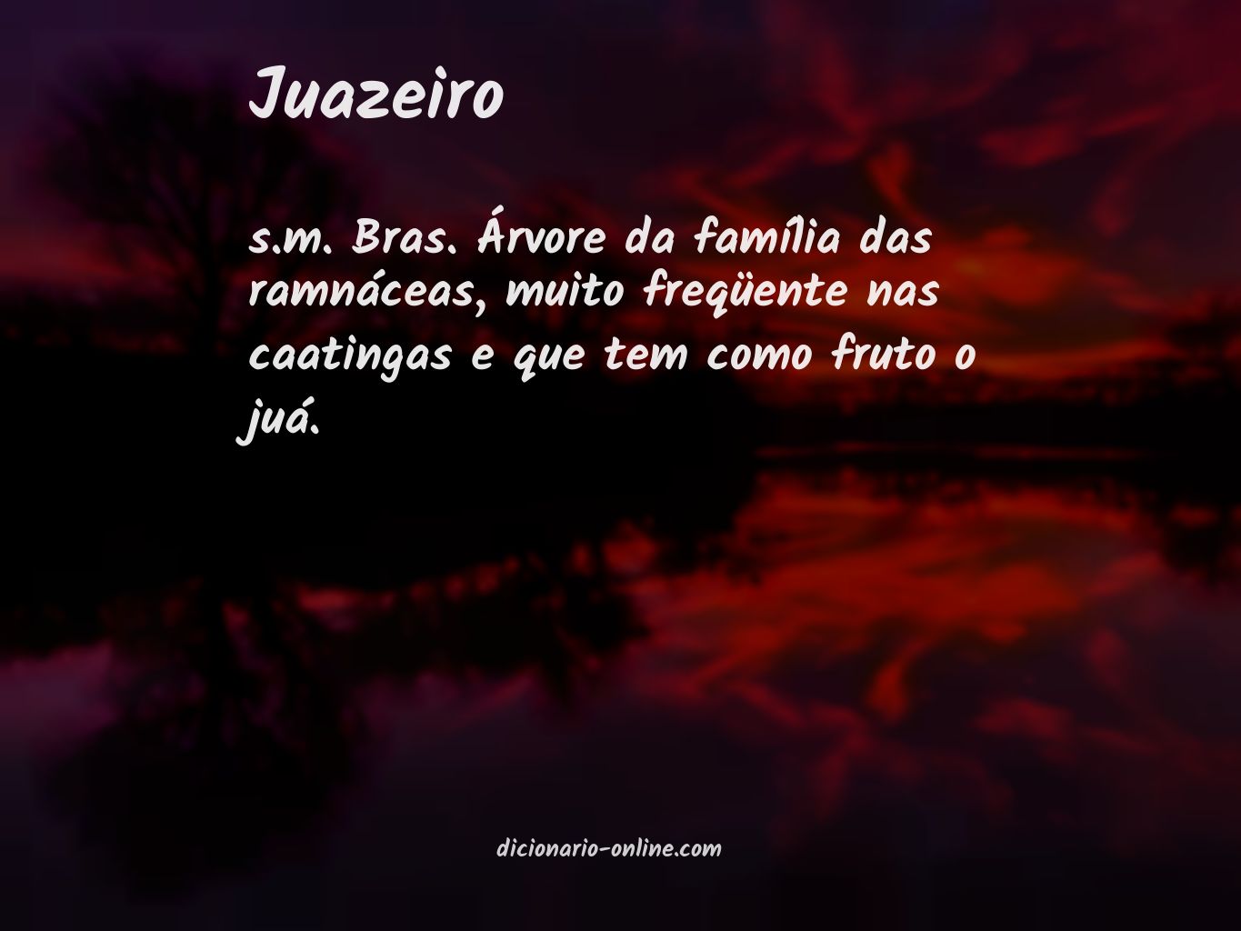 Significado de juazeiro