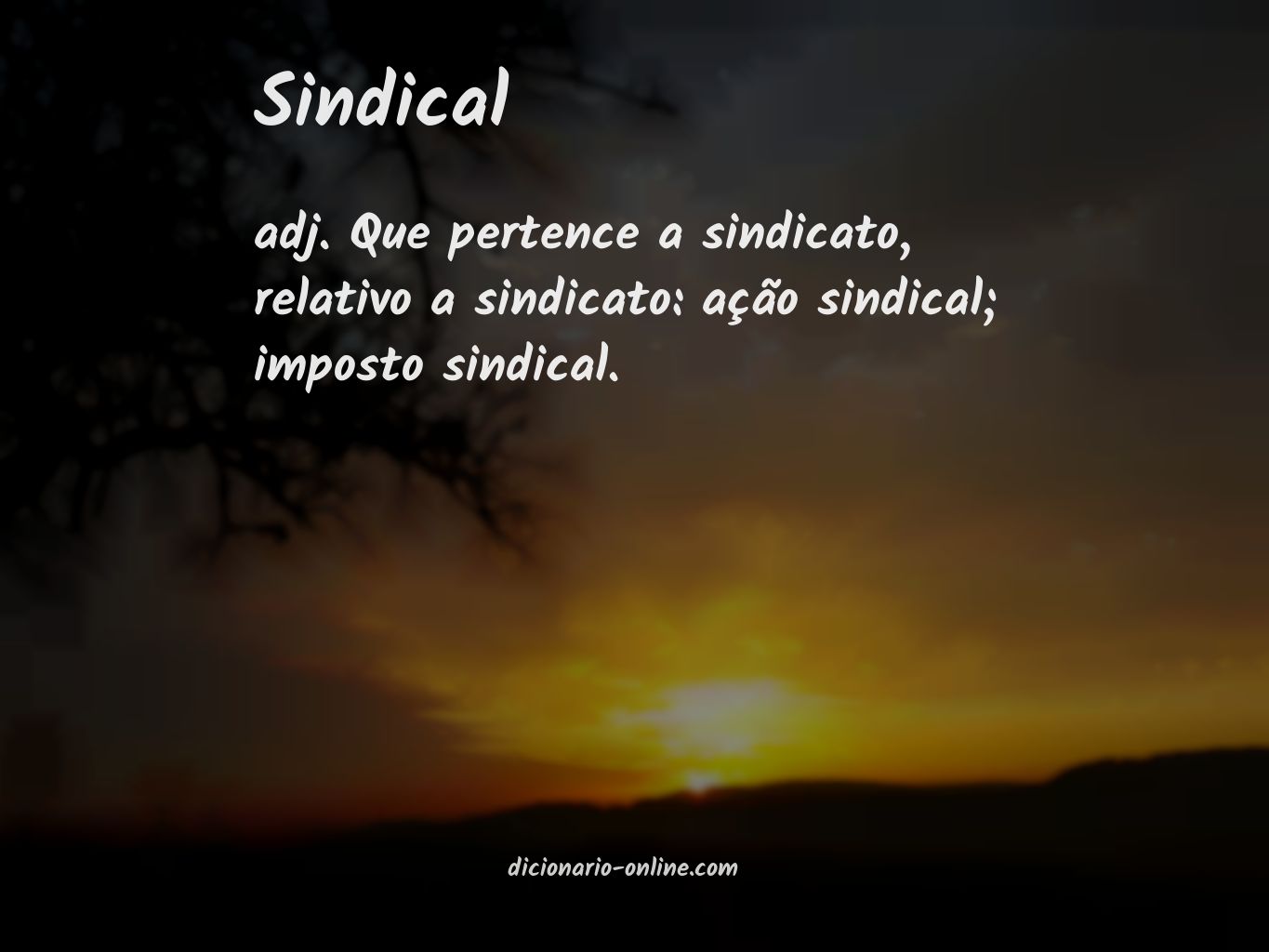 Significado de sindical