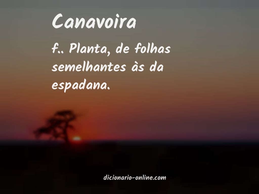 Significado de canavoira