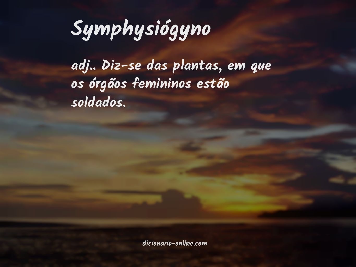 Significado de symphysiógyno