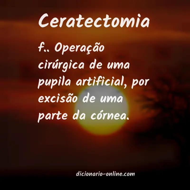 Significado de ceratectomia