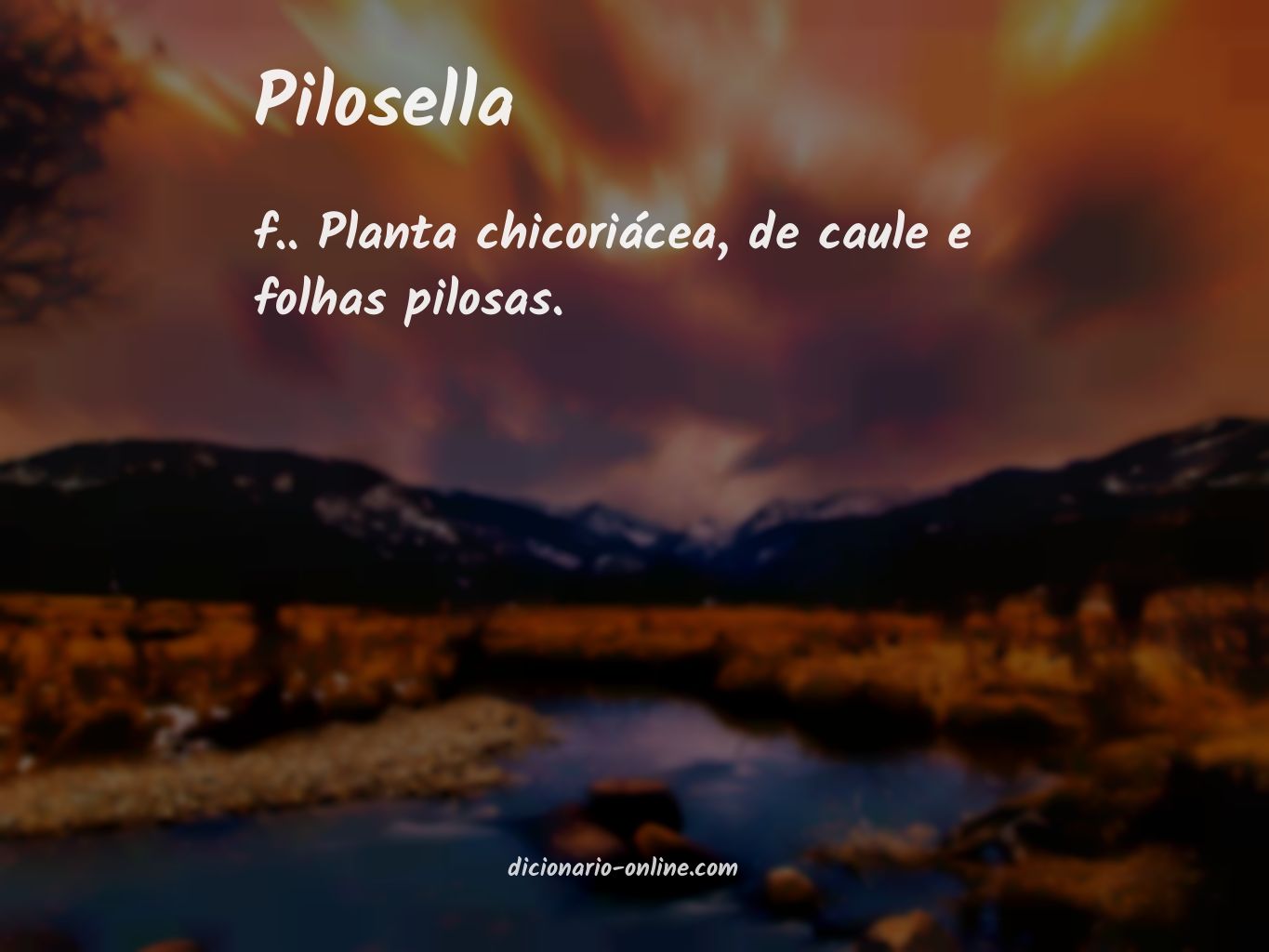 Significado de pilosella