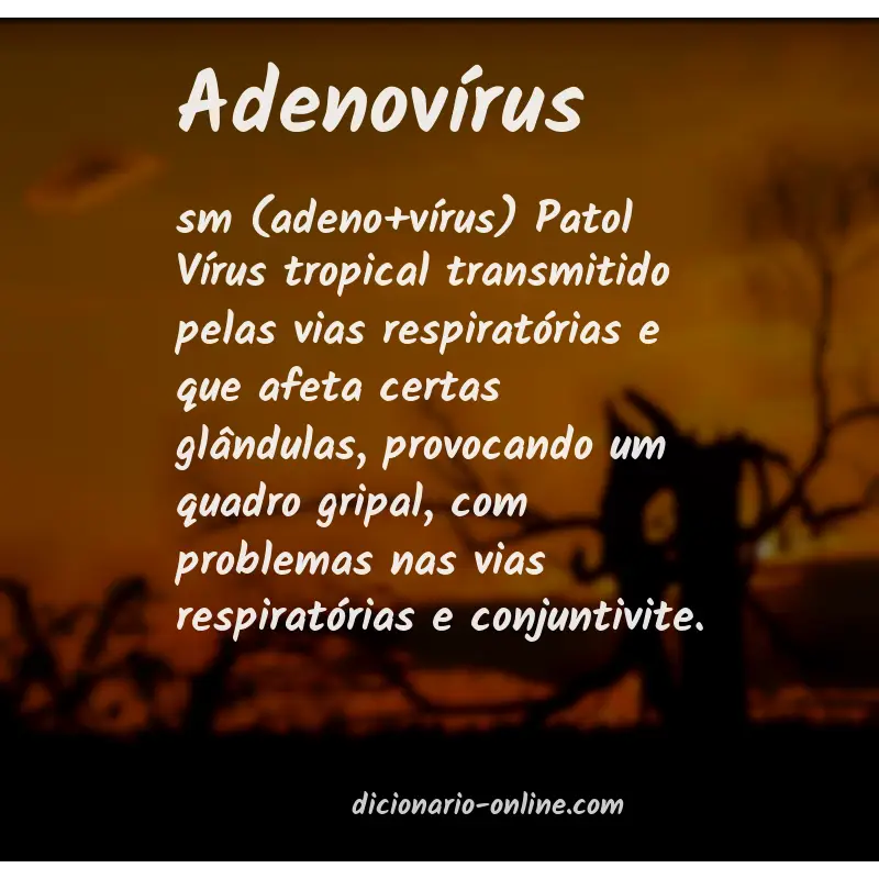 Significado de adenovírus