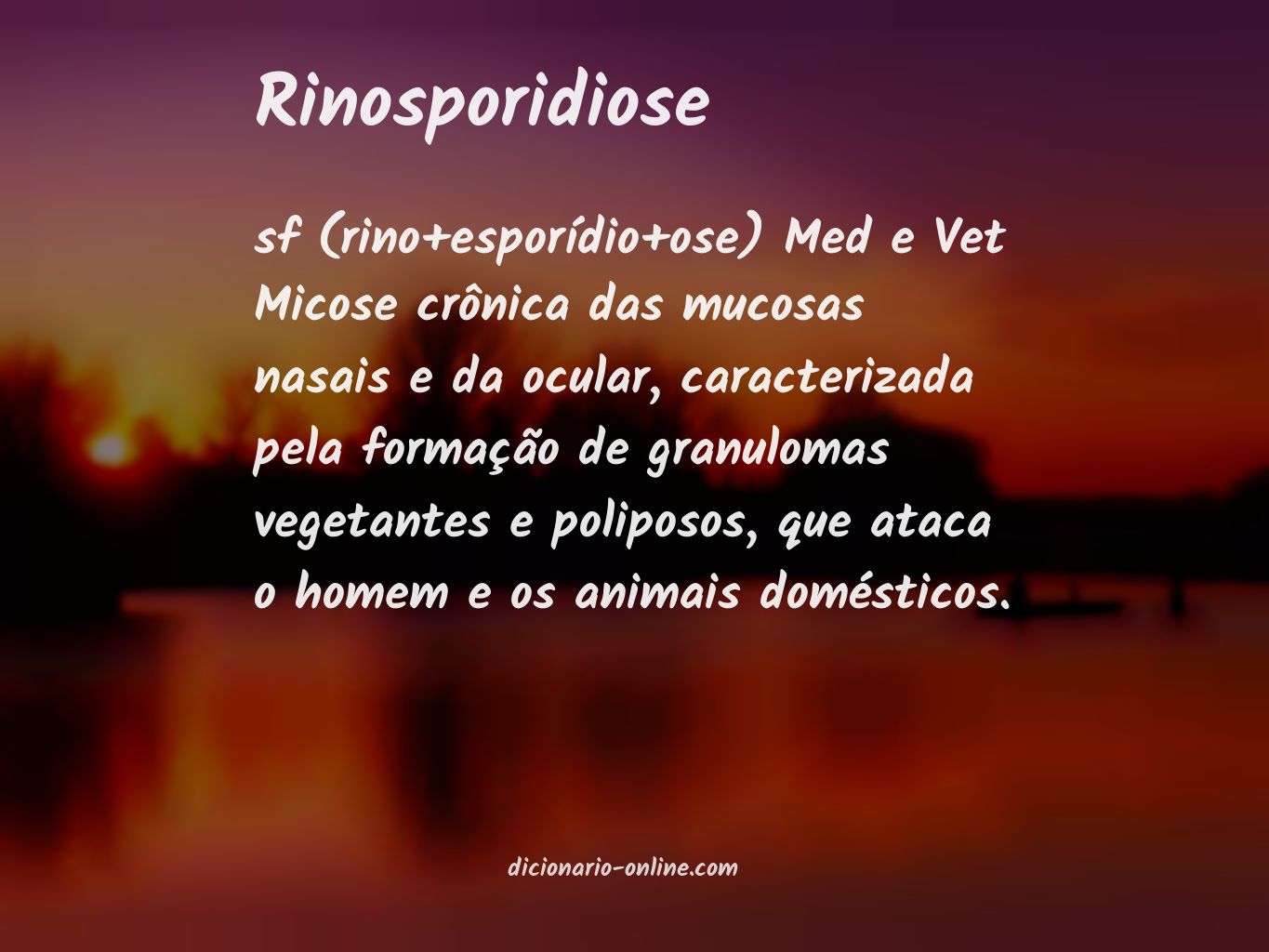 Significado de rinosporidiose