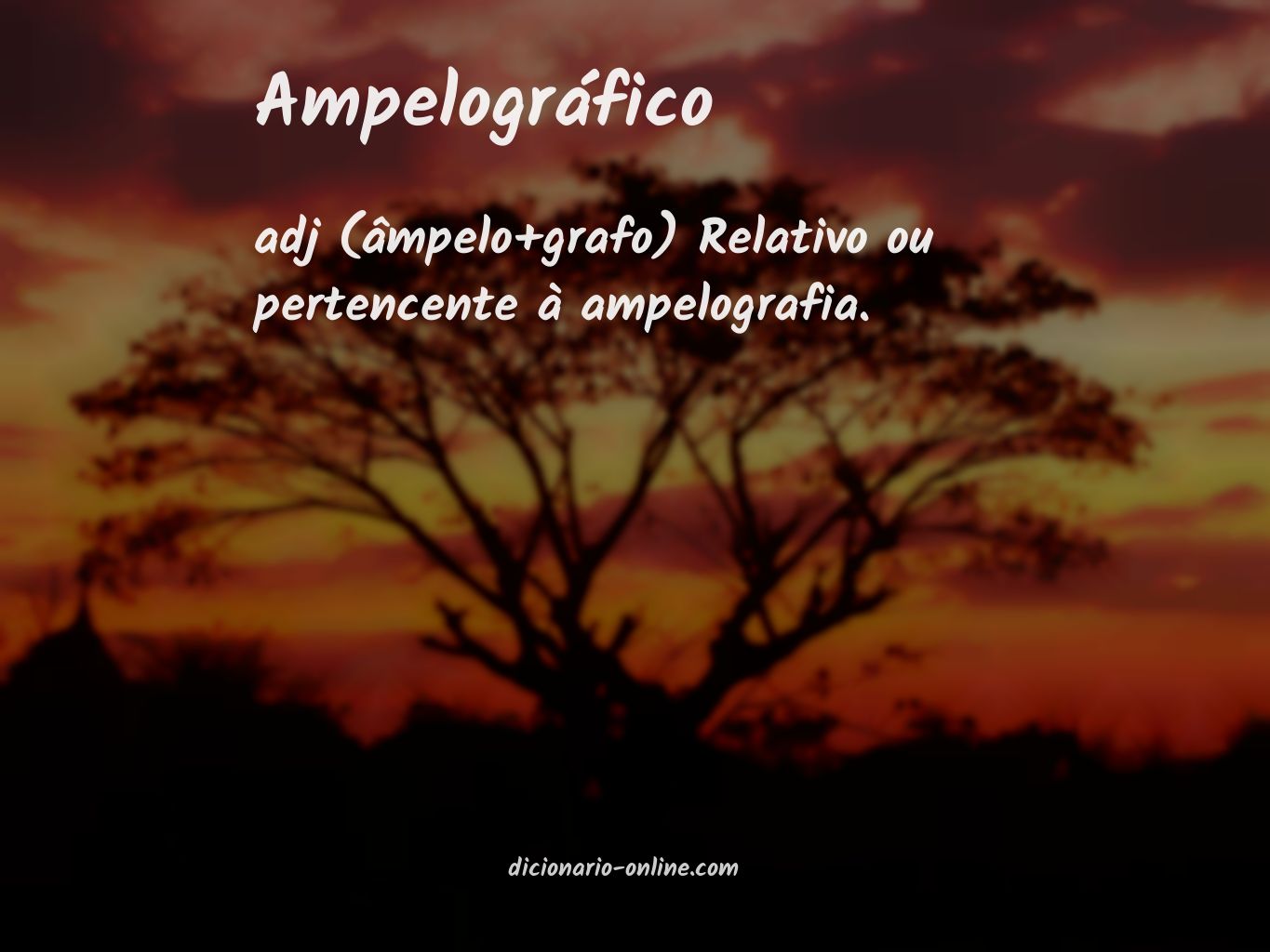 Significado de ampelográfico