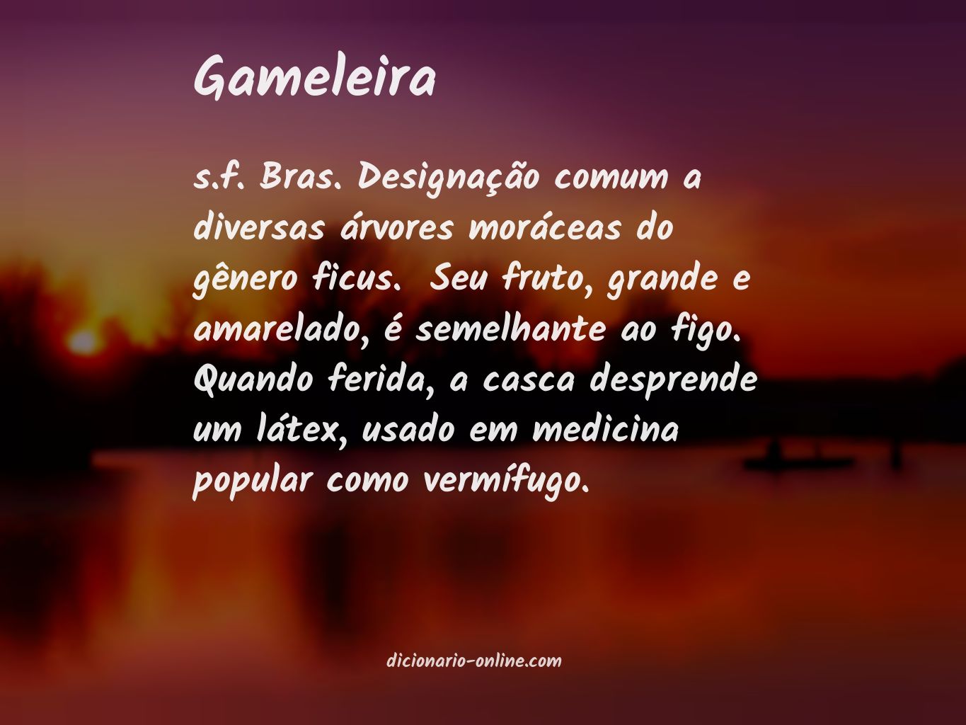 Significado de gameleira