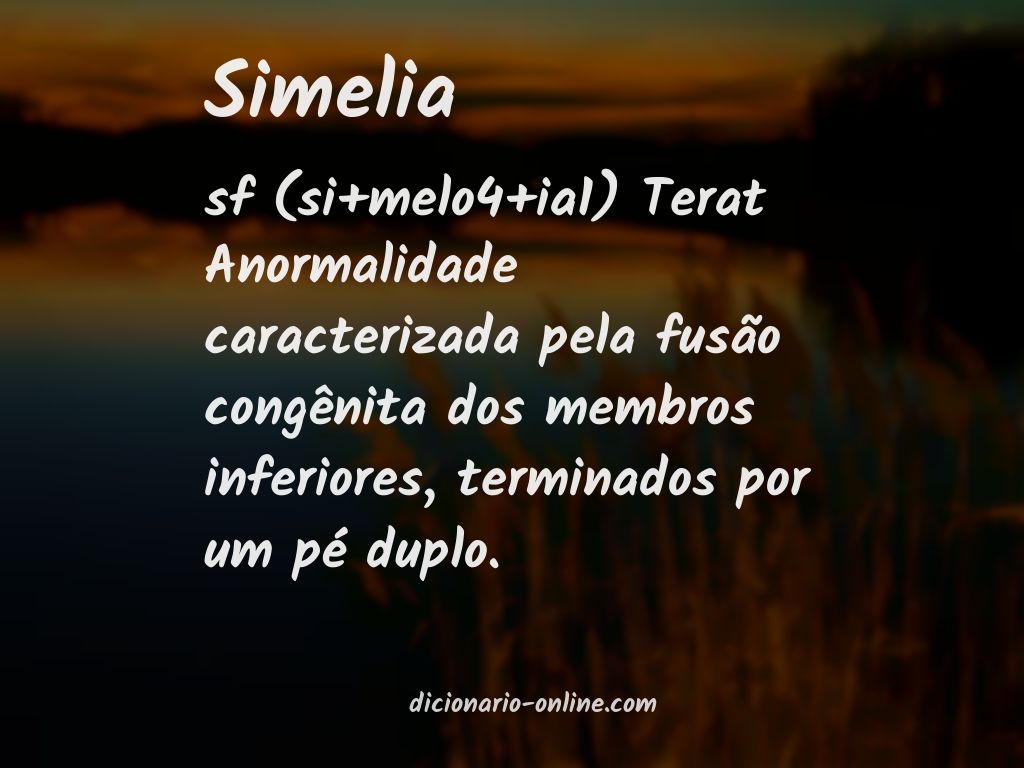 Significado de simelia