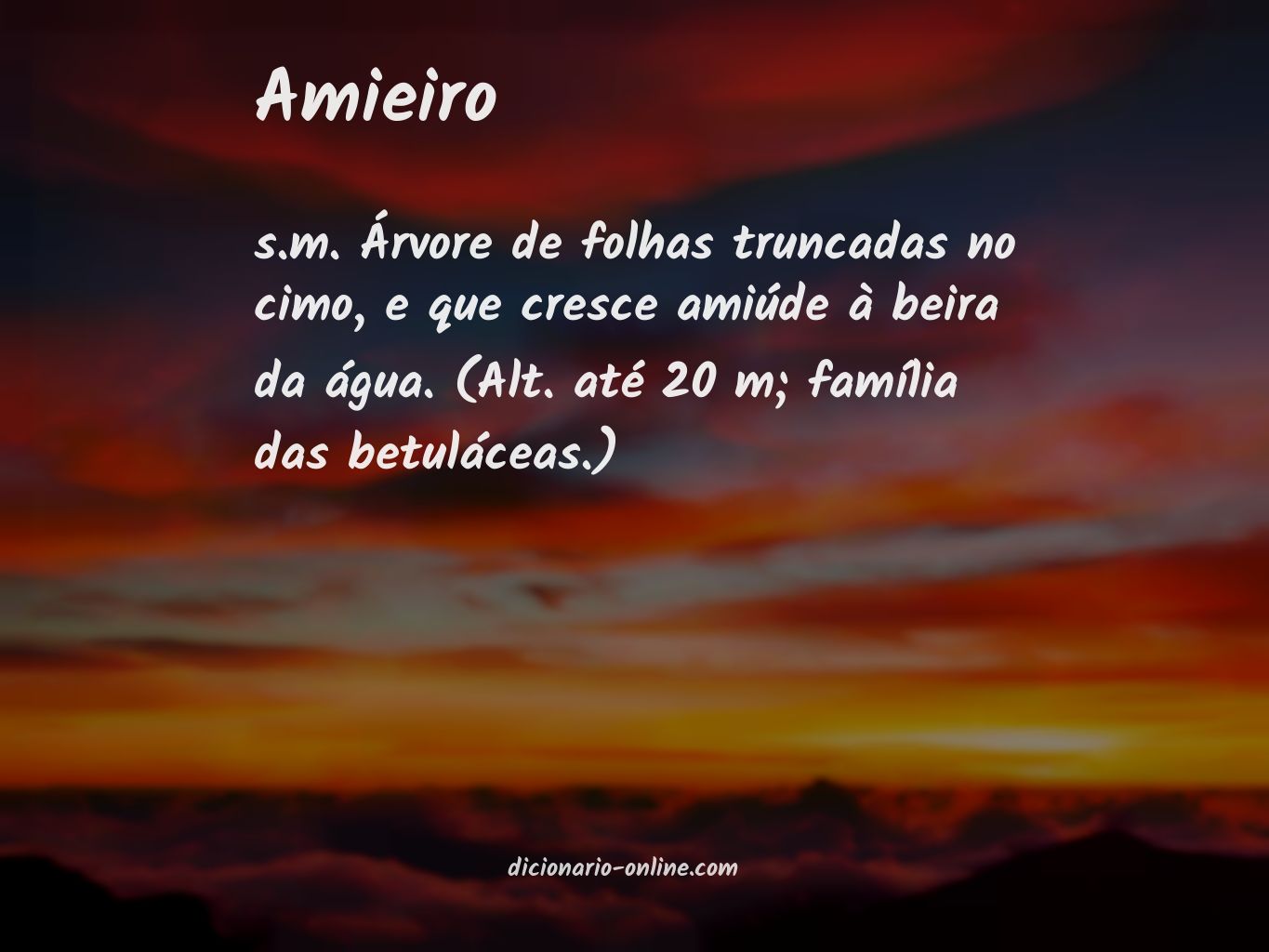 Significado de amieiro