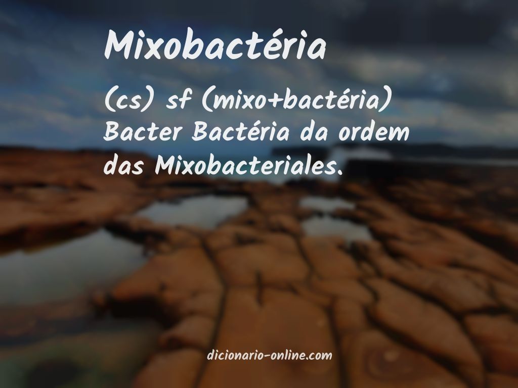 Significado de mixobactéria