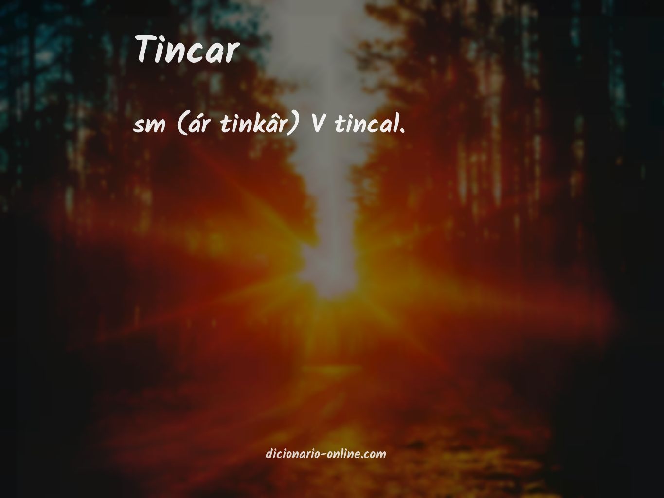 Significado de tincar