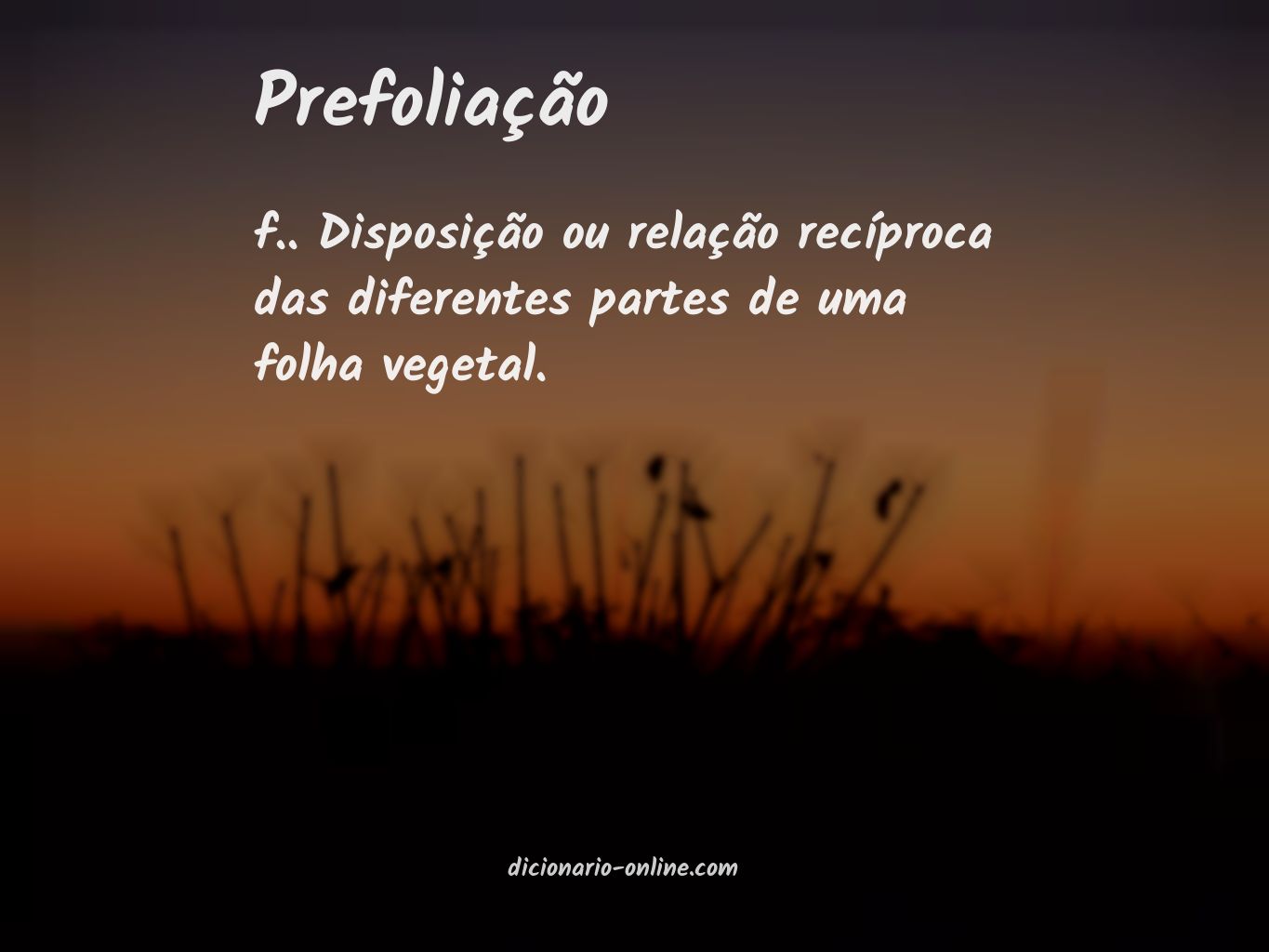 Significado de prefoliação