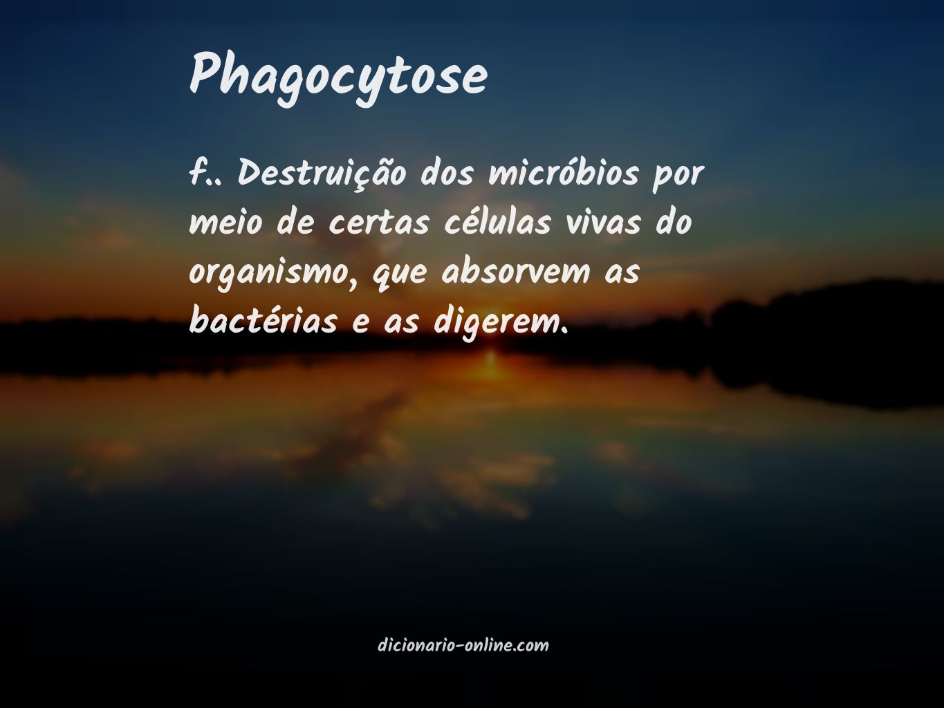 Significado de phagocytose