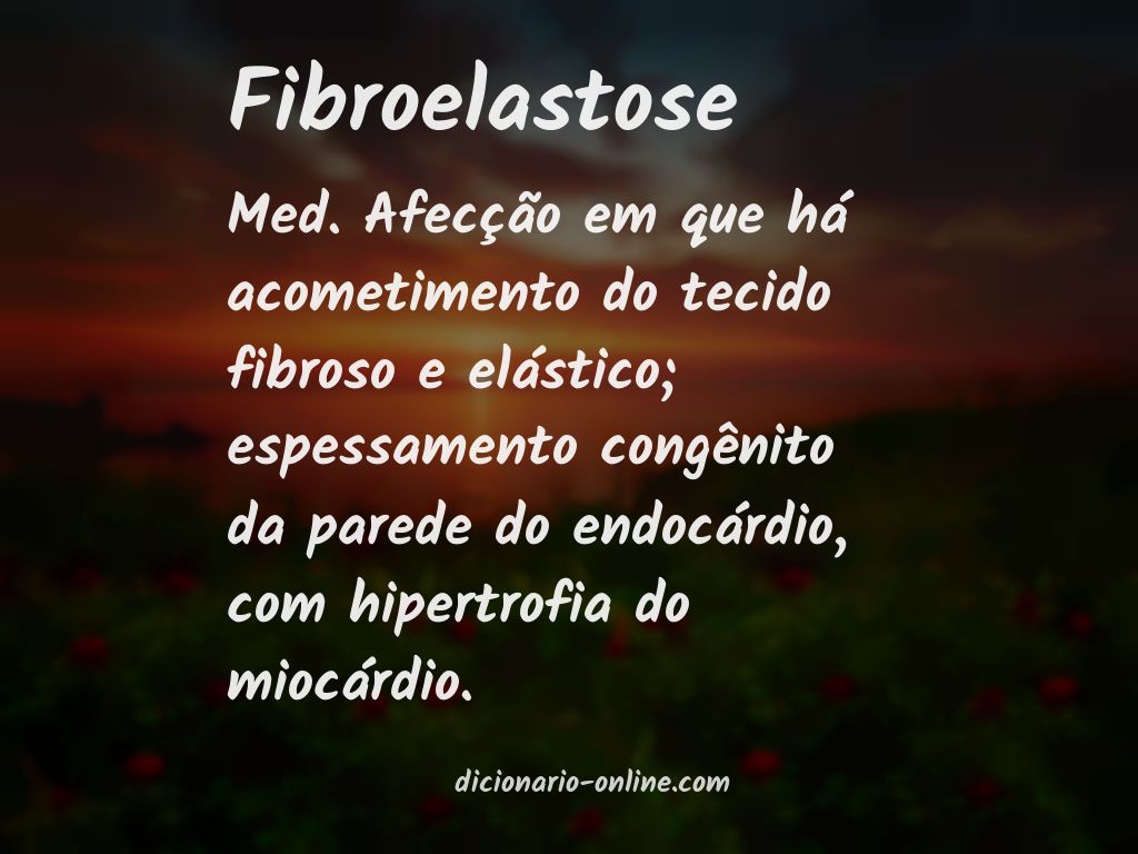 Significado de fibroelastose