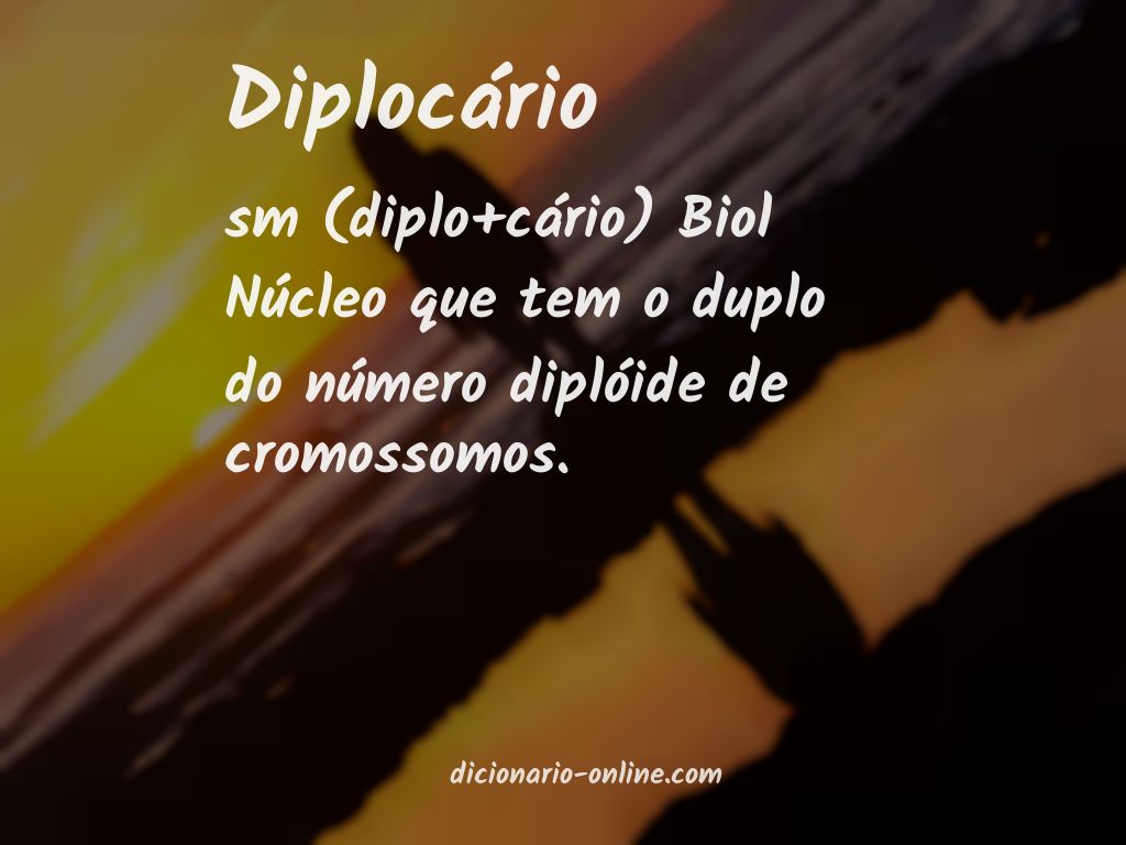 Significado de diplocário