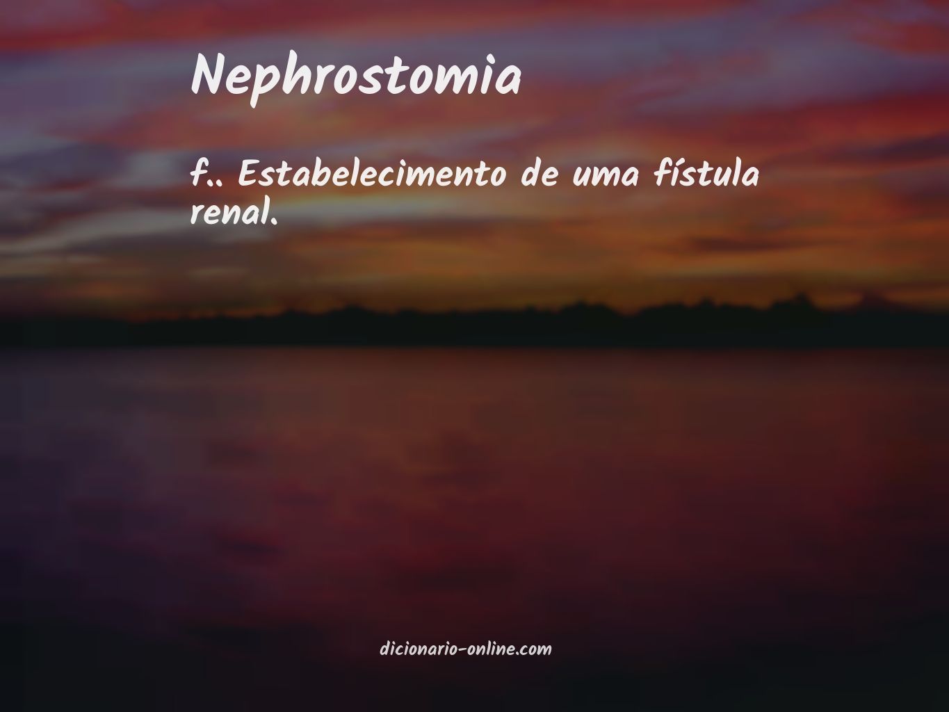 Significado de nephrostomia