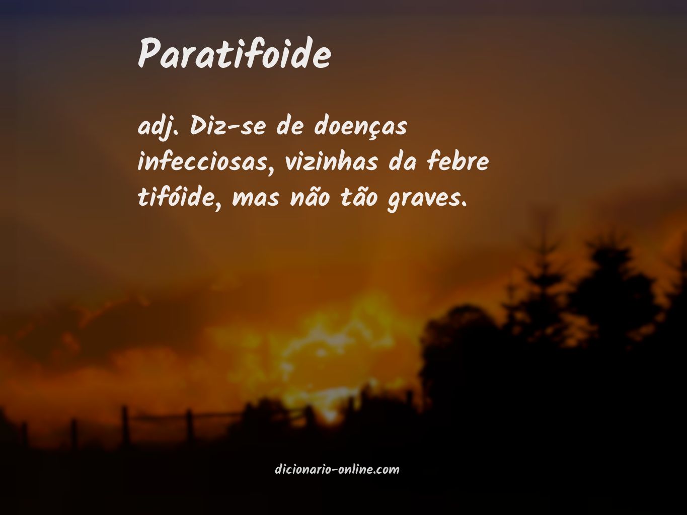 Significado de paratifoide