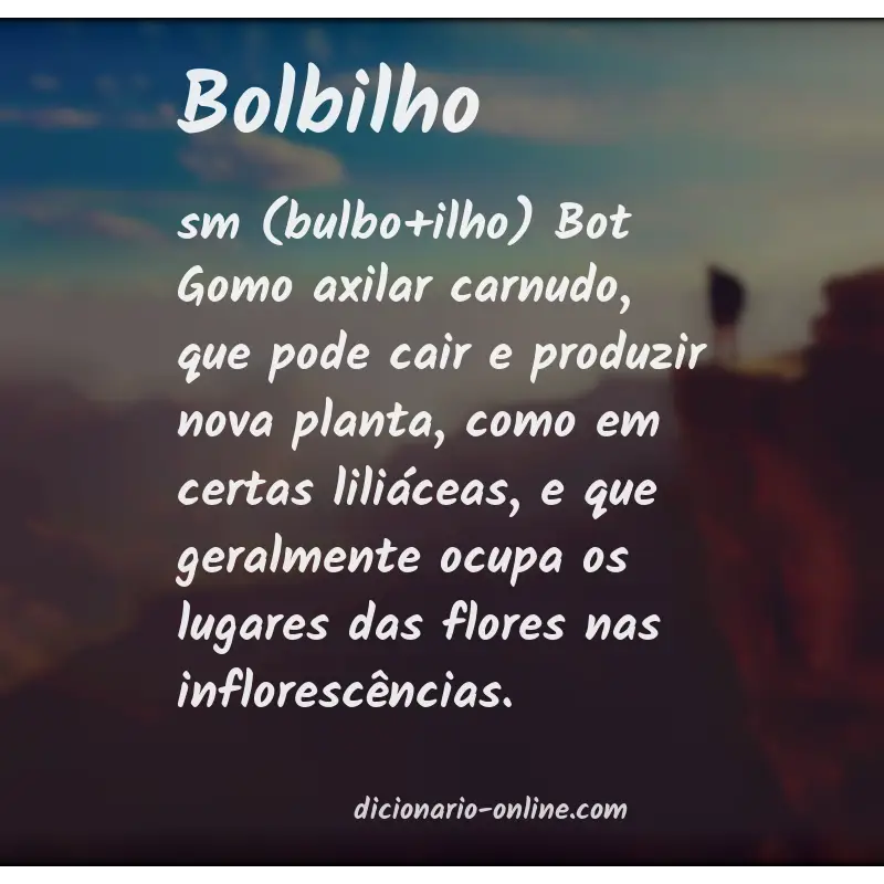 Significado de bolbilho