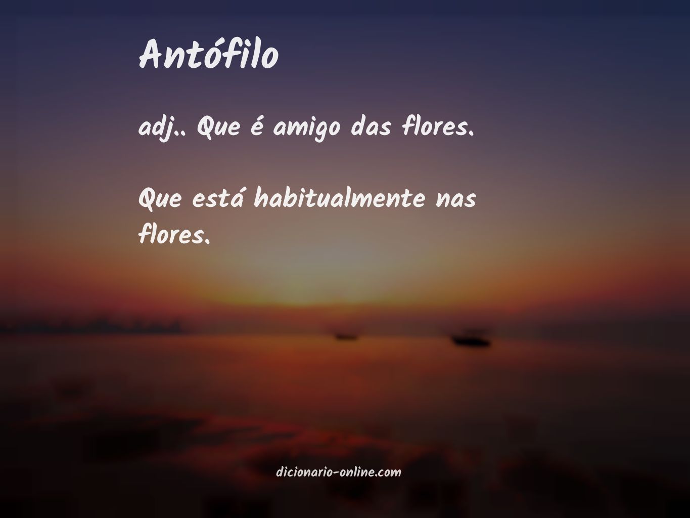 Significado de antófilo