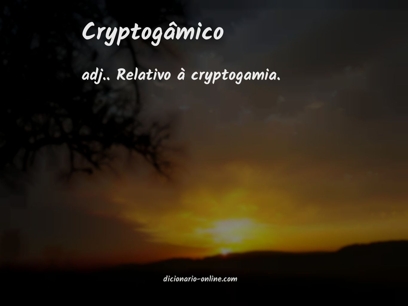 Significado de cryptogâmico