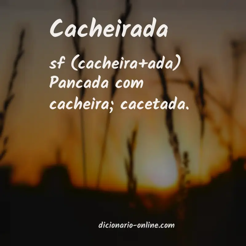 Significado de cacheirada