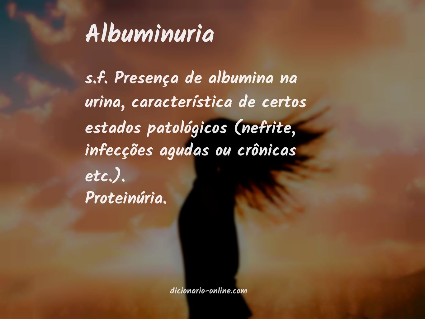 Significado de albuminuria