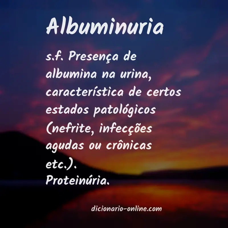 Significado de albuminuria