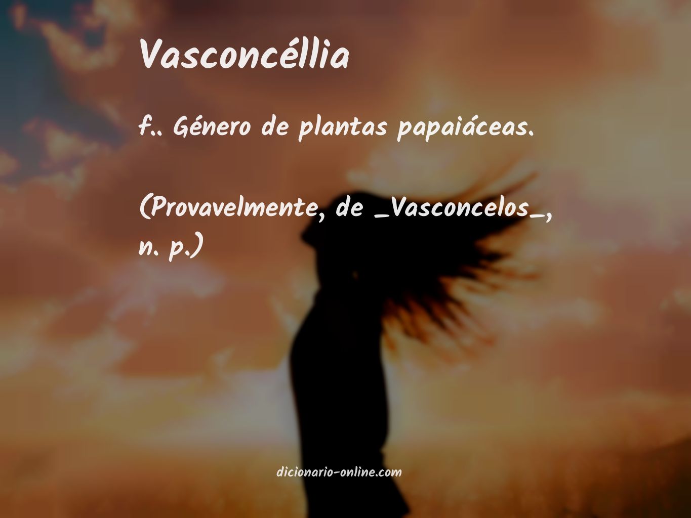 Significado de vasconcéllia