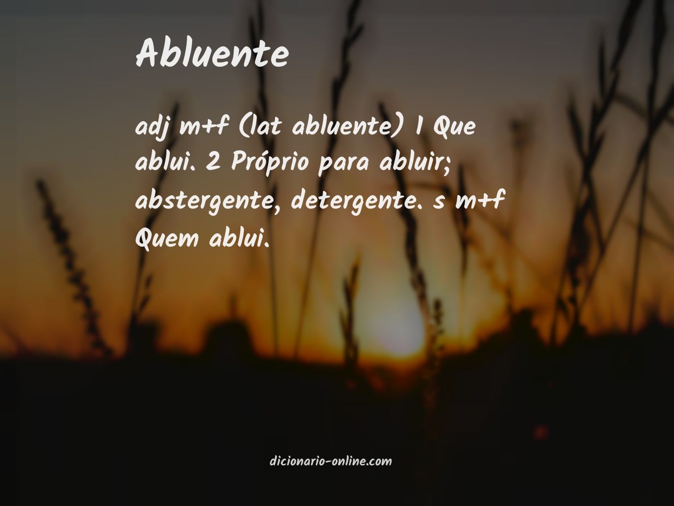 Significado de abluente