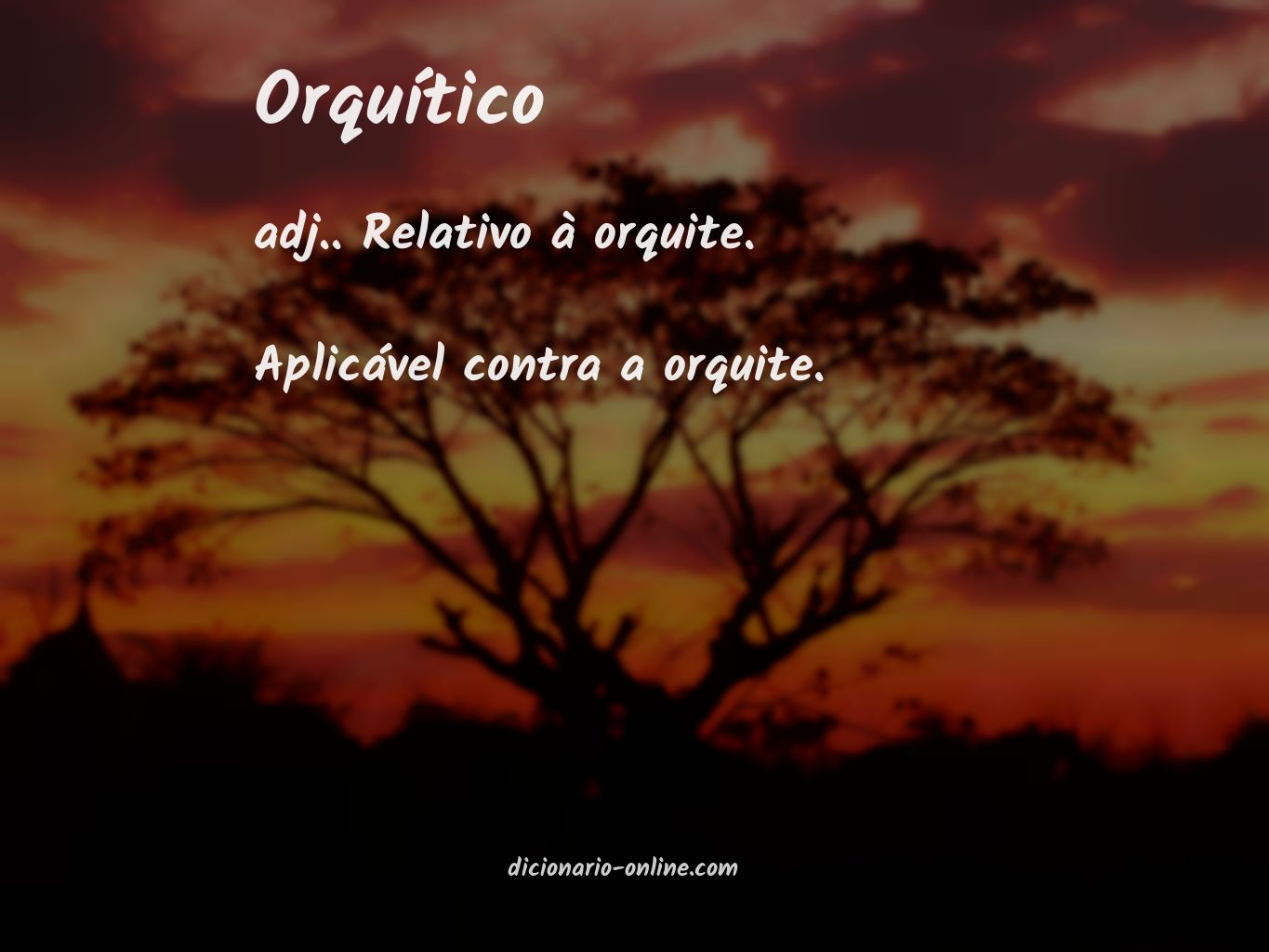 Significado de orquítico