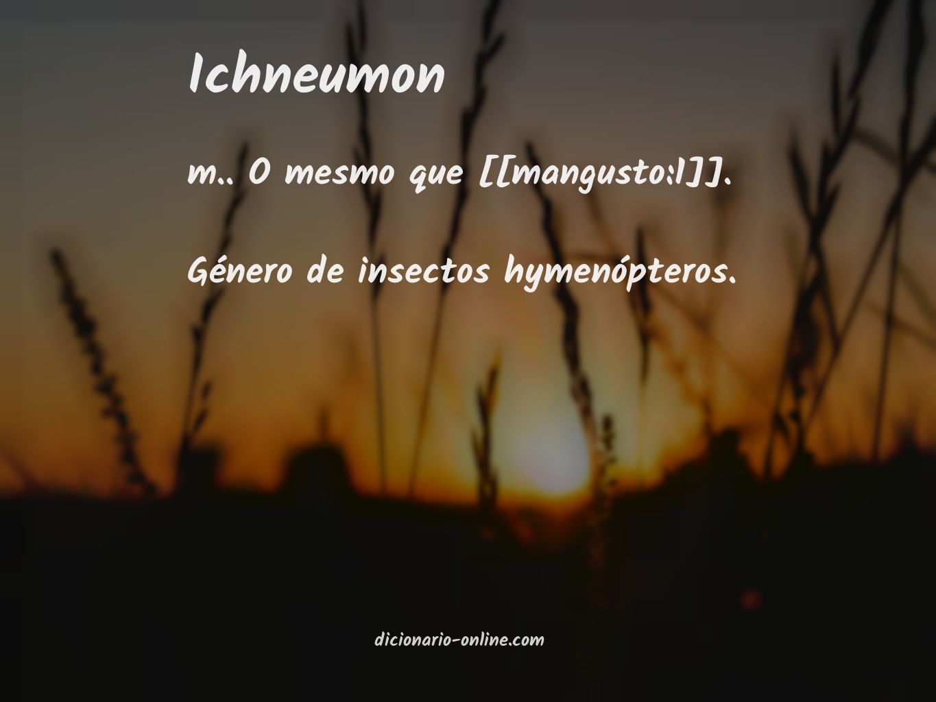 Significado de ichneumon