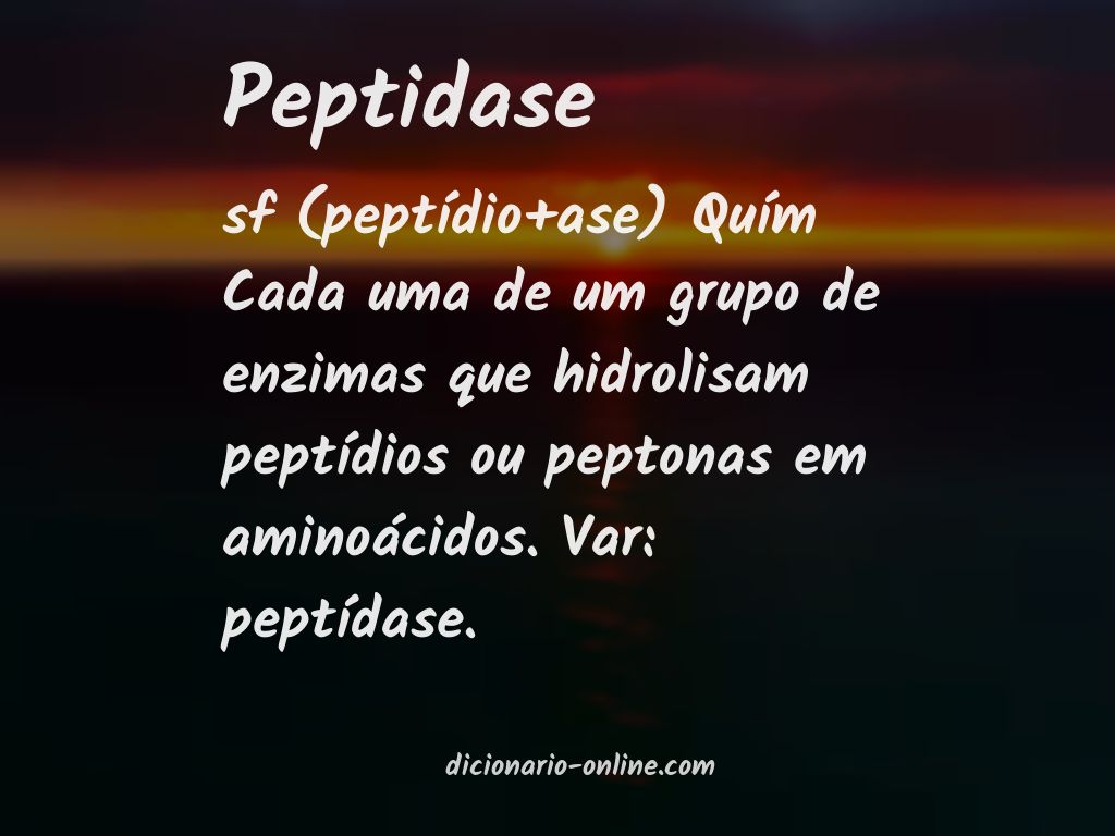 Significado de peptidase