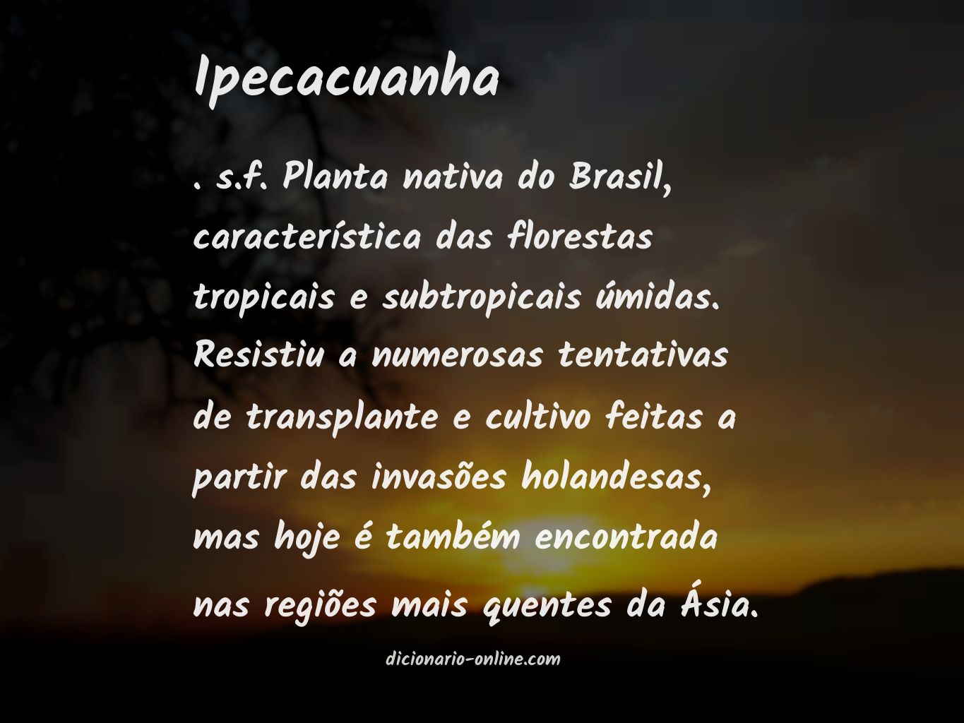 Significado de ipecacuanha