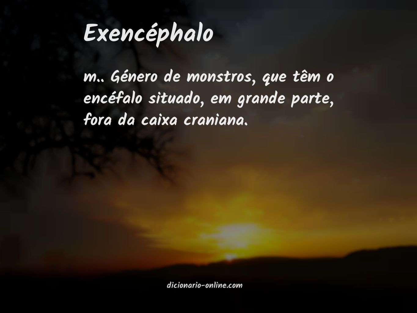 Significado de exencéphalo