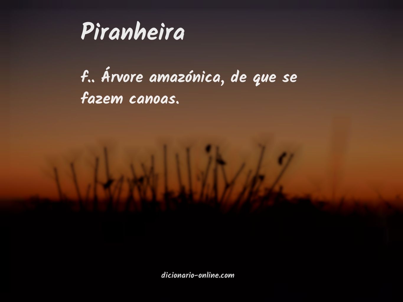 Significado de piranheira