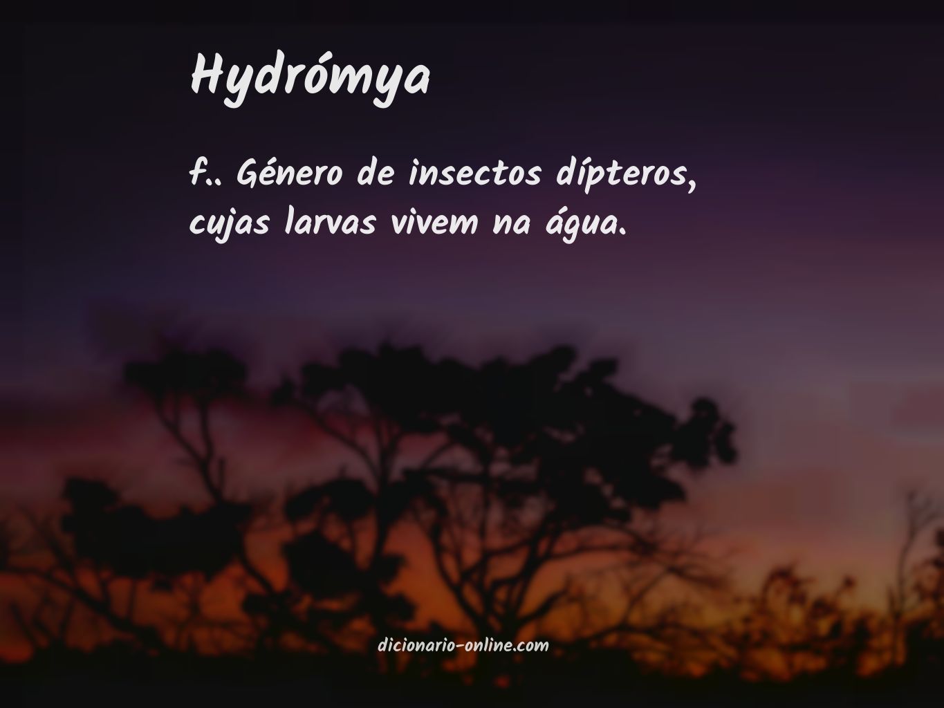 Significado de hydrómya