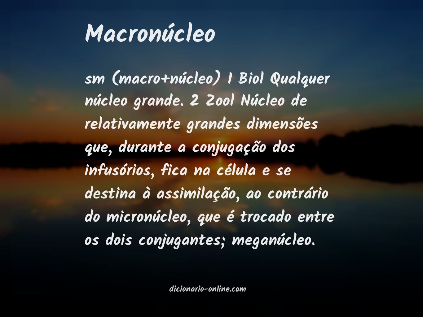 Significado de macronúcleo