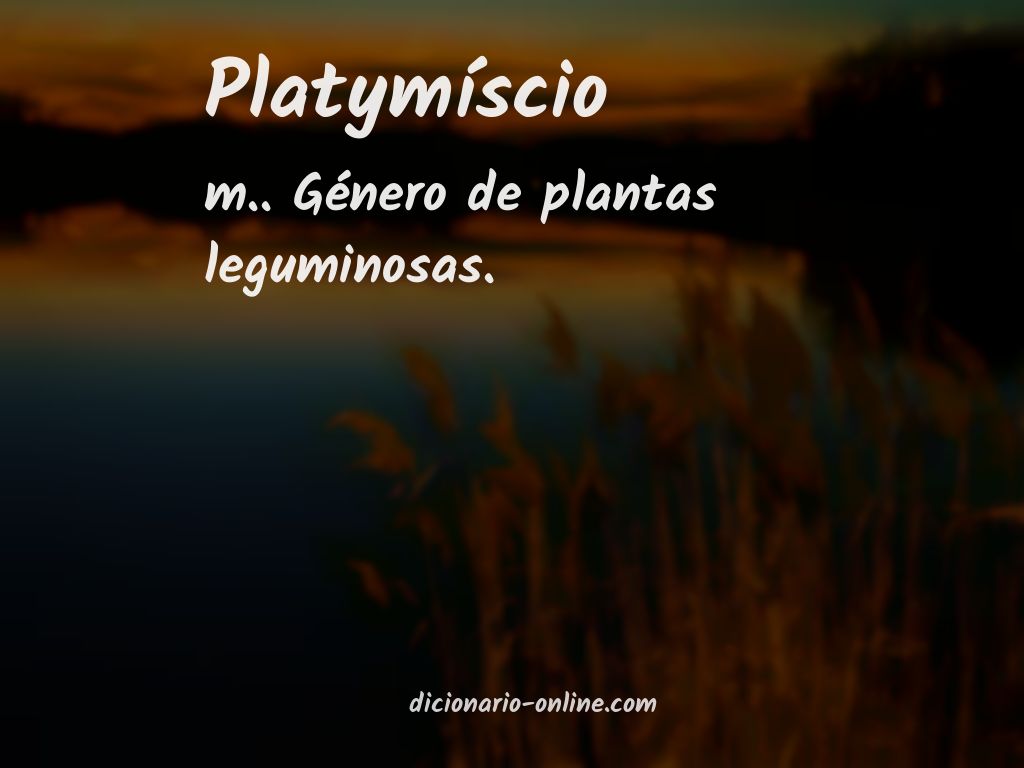 Significado de platymíscio