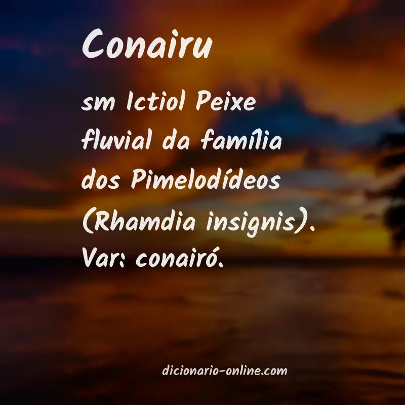 Significado de conairu