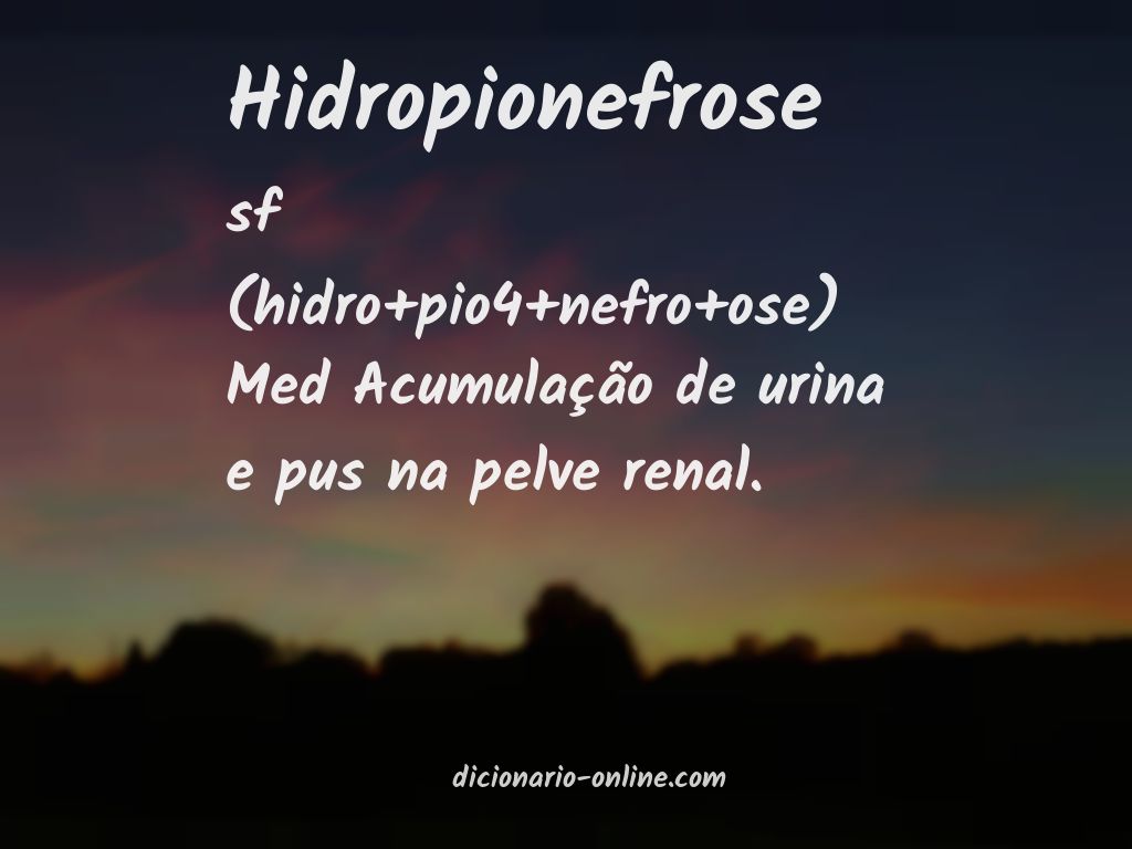 Significado de hidropionefrose