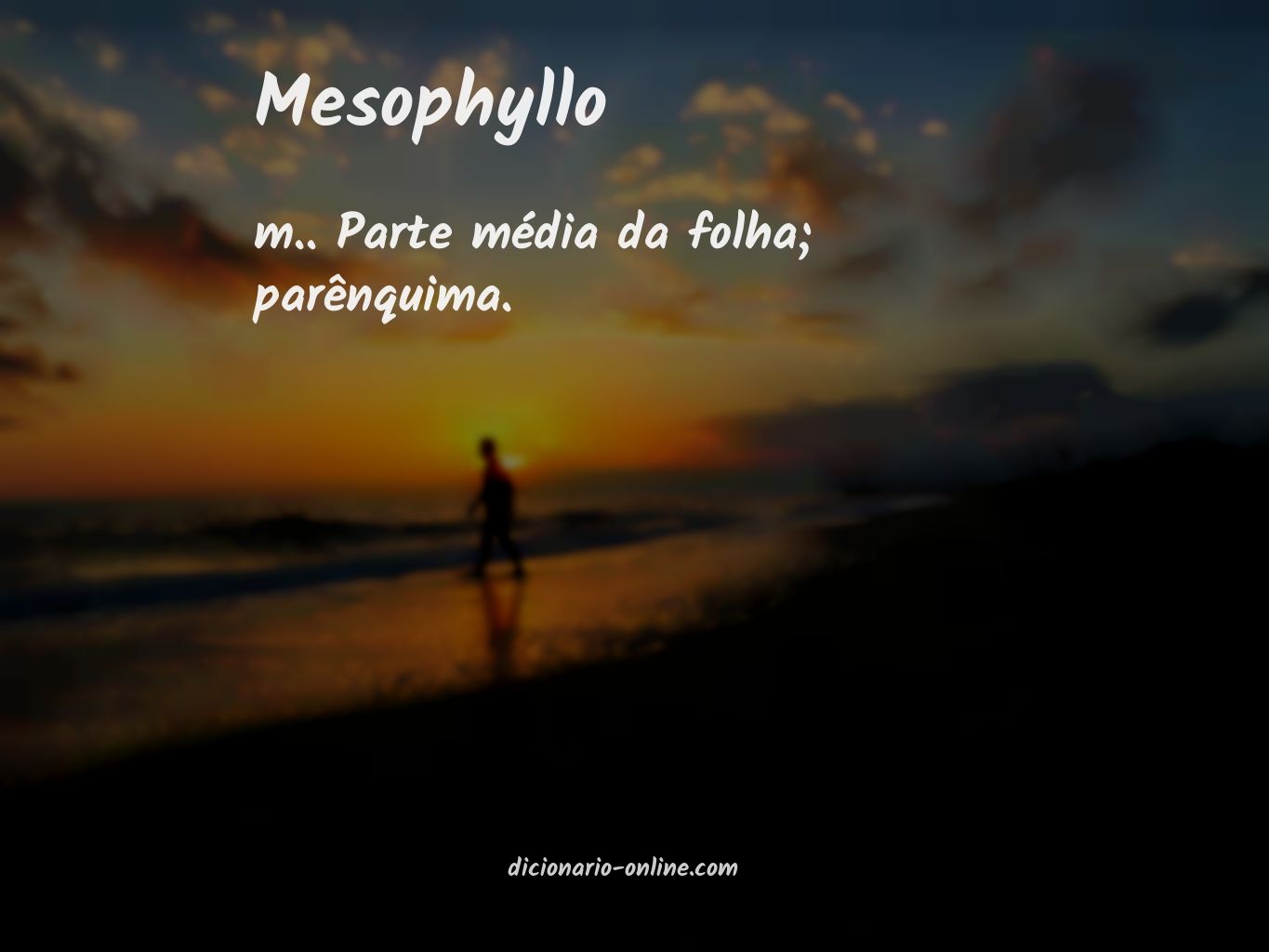 Significado de mesophyllo