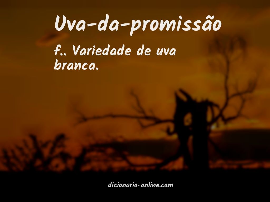 Significado de uva-da-promissão