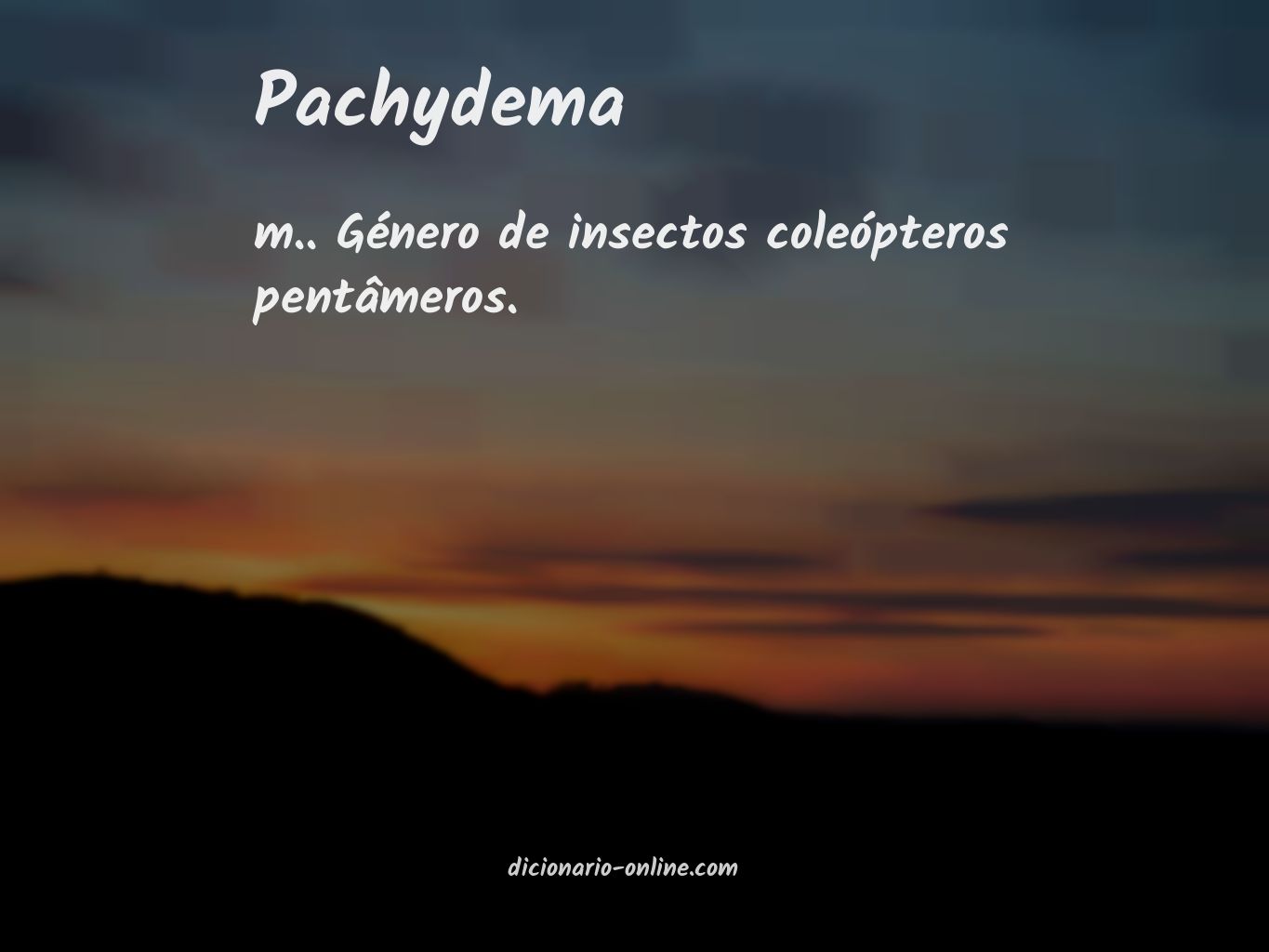 Significado de pachydema