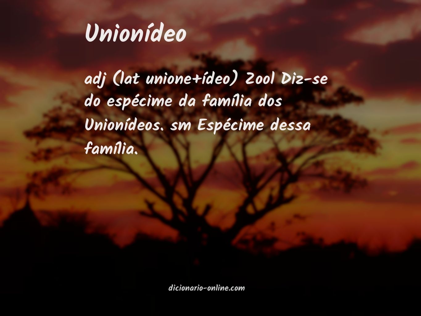 Significado de unionídeo