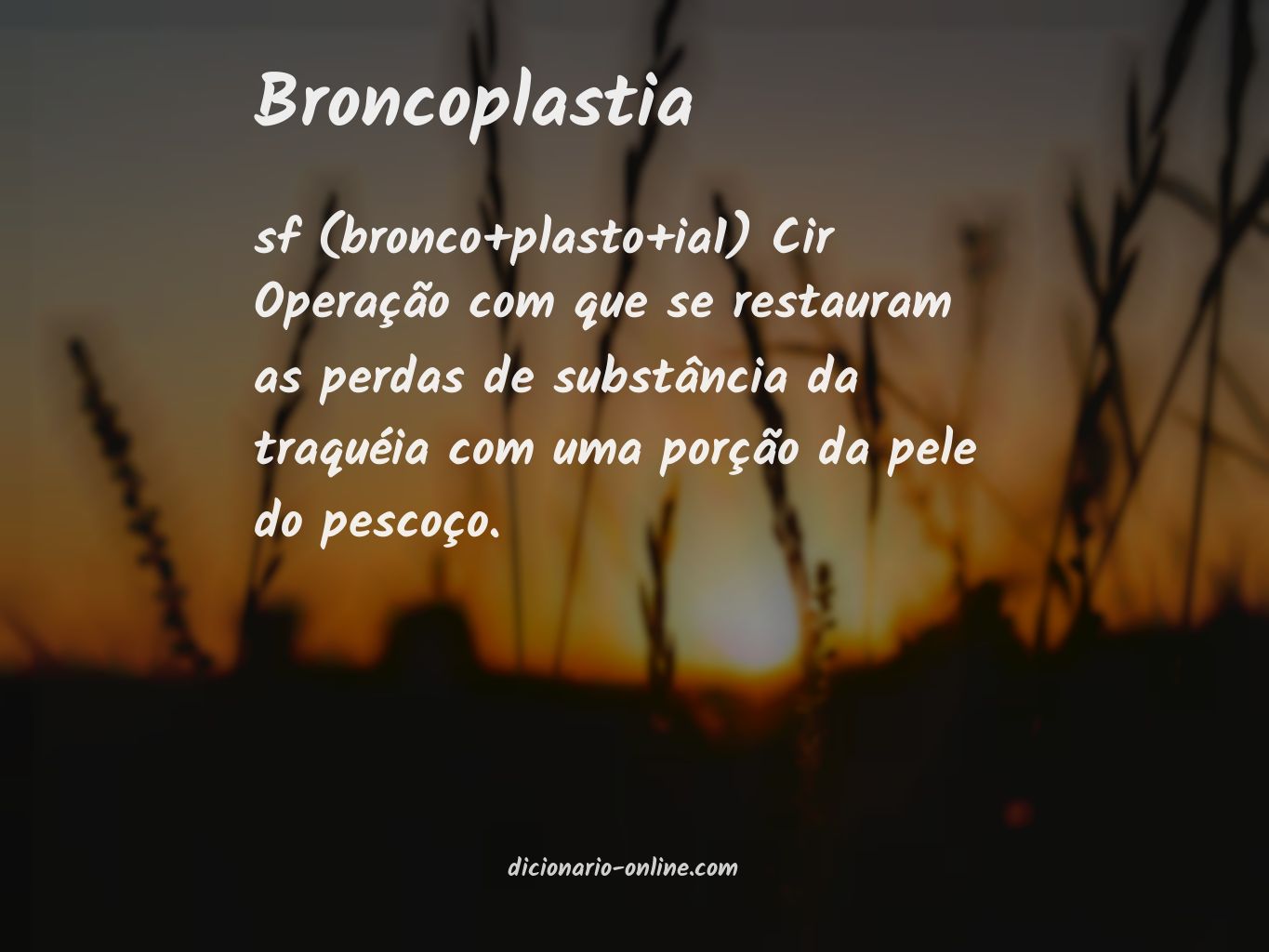 Significado de broncoplastia