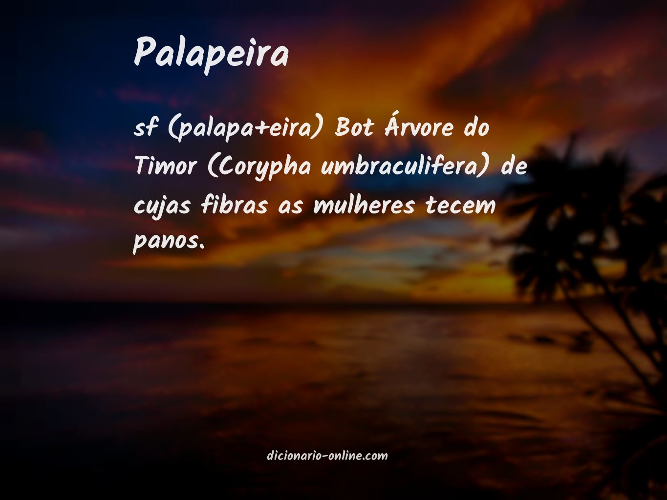 Significado de palapeira