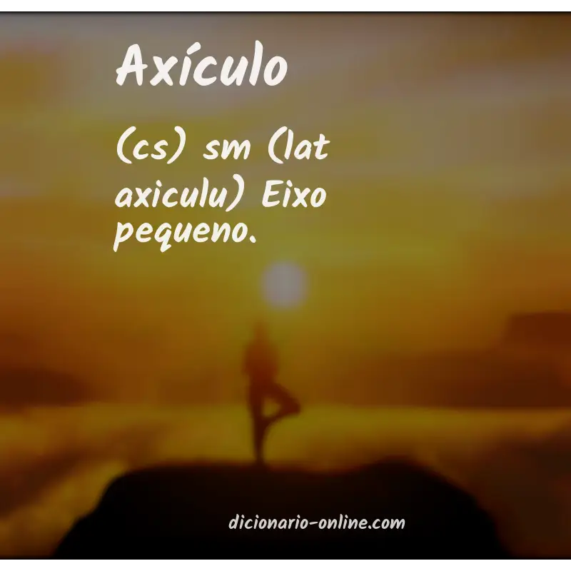 Significado de axículo