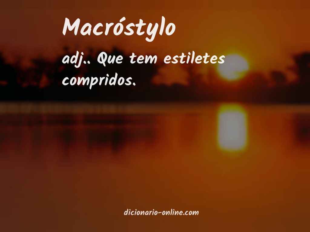 Significado de macróstylo