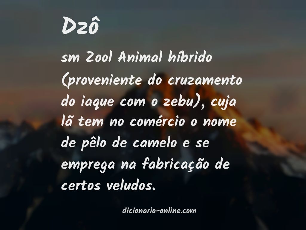 Significado de dzô