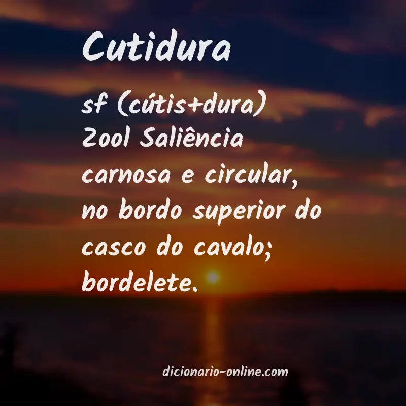 Significado de cutidura