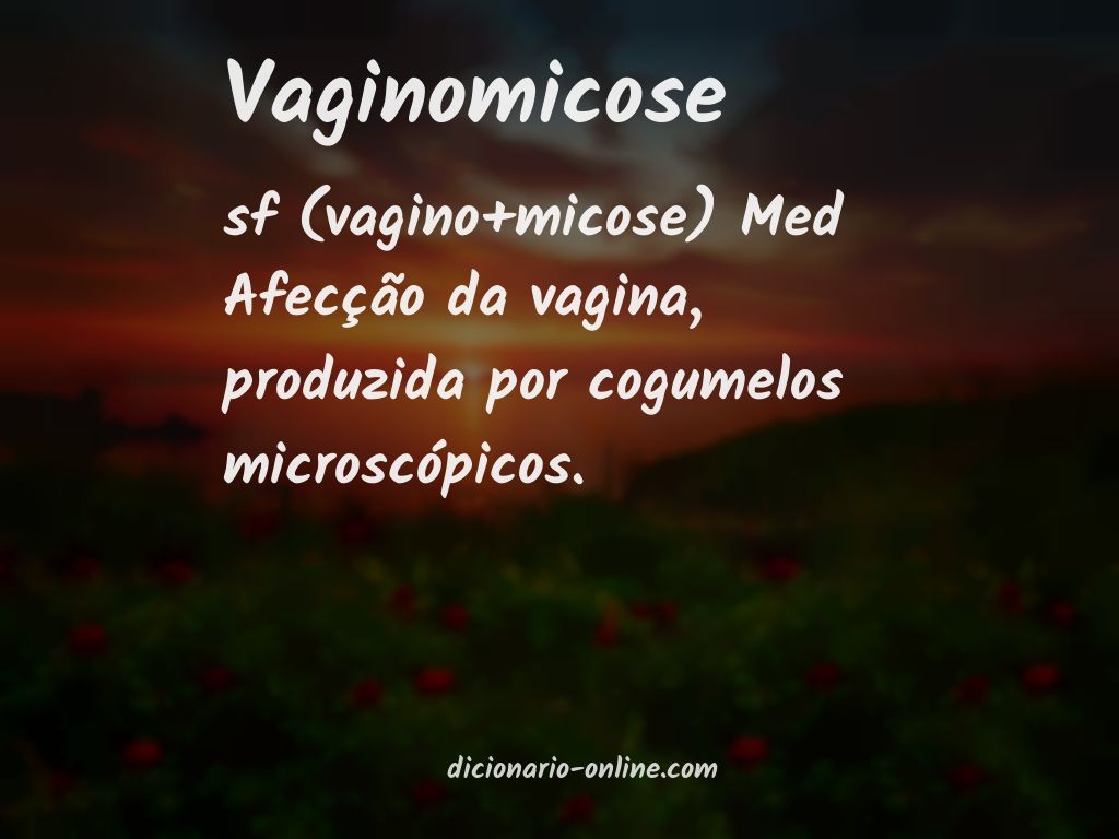 Significado de vaginomicose